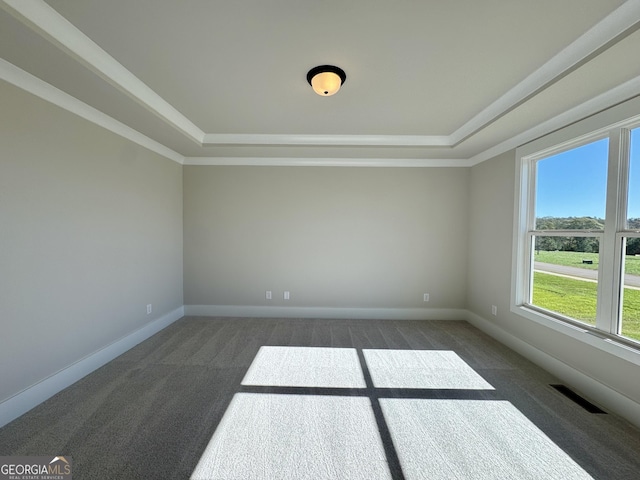 empty room featuring a raised ceiling and dark colored carpet