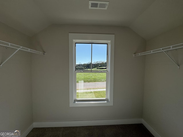 walk in closet featuring lofted ceiling