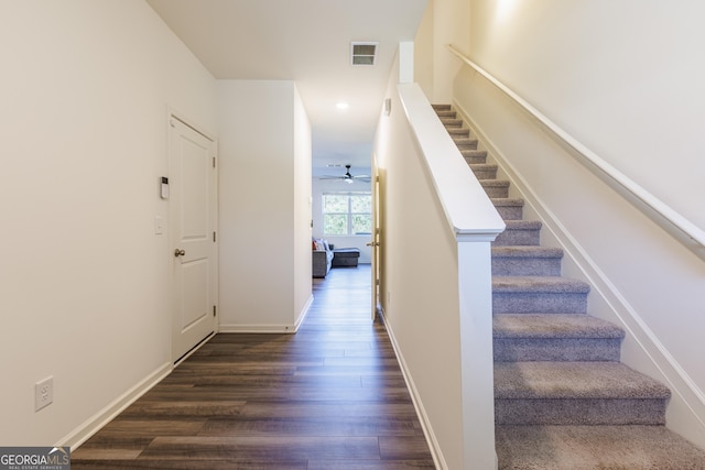 staircase featuring ceiling fan and wood-type flooring