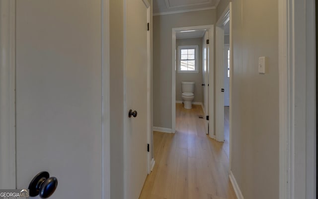 corridor with light hardwood / wood-style floors and ornamental molding