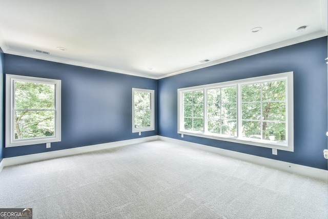 spare room featuring carpet, ornamental molding, and plenty of natural light