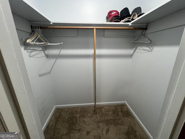 walk in closet with carpet floors