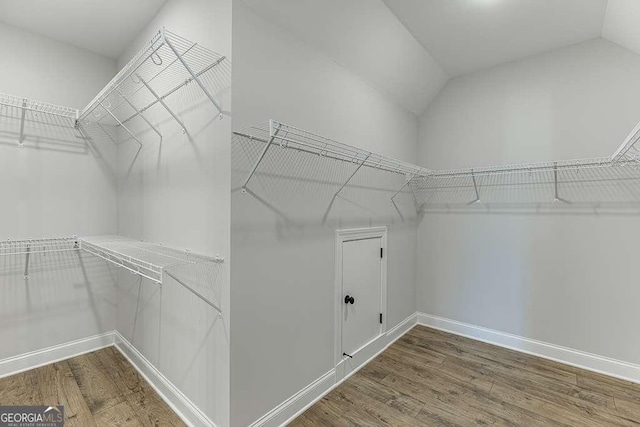 spacious closet with hardwood / wood-style flooring