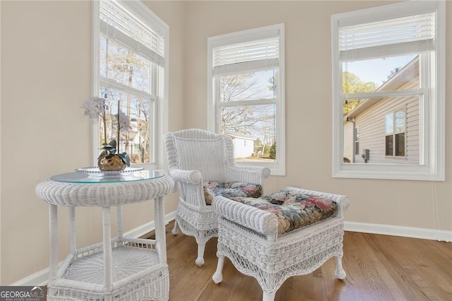 sitting room with hardwood / wood-style floors and a wealth of natural light