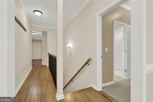 corridor with light wood-type flooring and crown molding