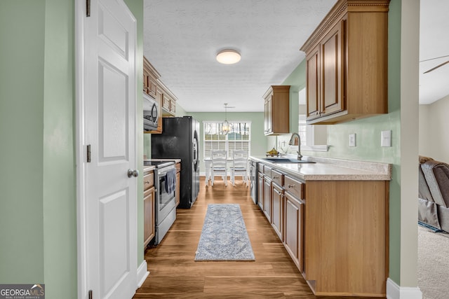 kitchen with appliances with stainless steel finishes, ceiling fan, sink, light hardwood / wood-style floors, and hanging light fixtures