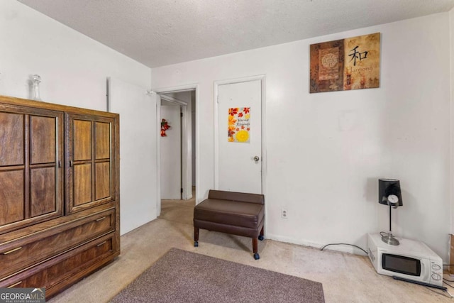 living area with light colored carpet and a textured ceiling