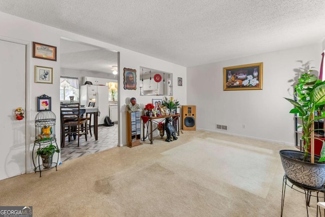 interior space featuring carpet and a textured ceiling