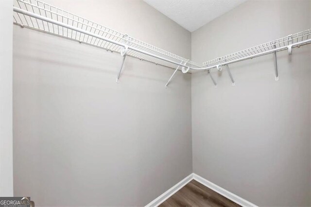 walk in closet featuring hardwood / wood-style flooring