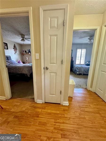 hallway featuring light hardwood / wood-style floors and a textured ceiling