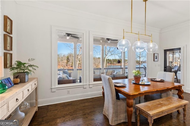 dining space featuring ornamental molding, ceiling fan, and dark wood-type flooring