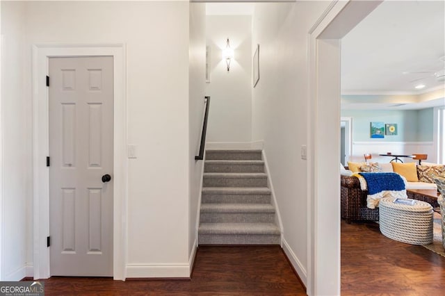 staircase with wood-type flooring