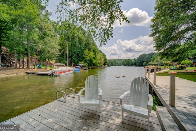 dock area with a water view