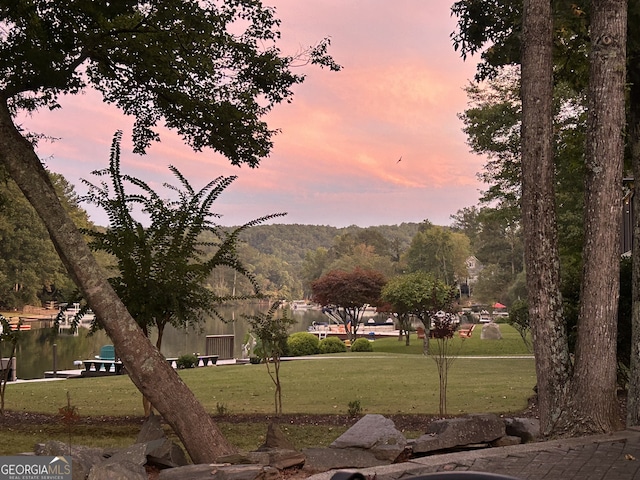 view of property's community featuring a lawn