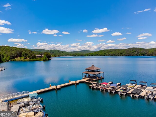 view of water feature featuring a dock