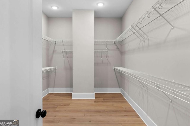 spacious closet featuring wood-type flooring