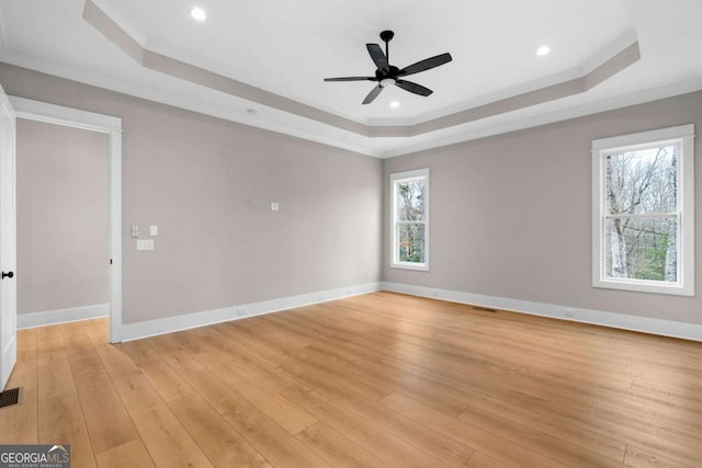 empty room featuring a tray ceiling, plenty of natural light, and light hardwood / wood-style floors