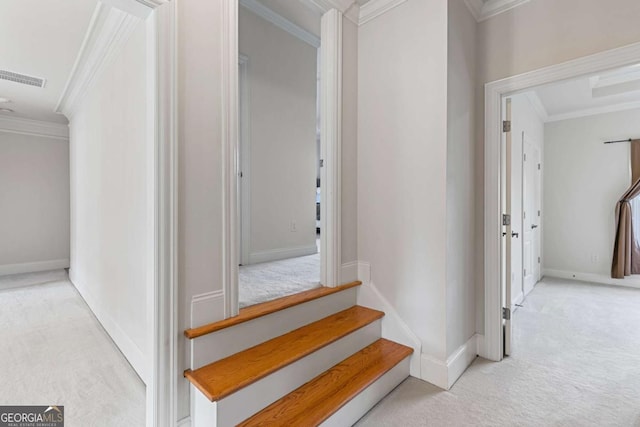 staircase with crown molding and carpet