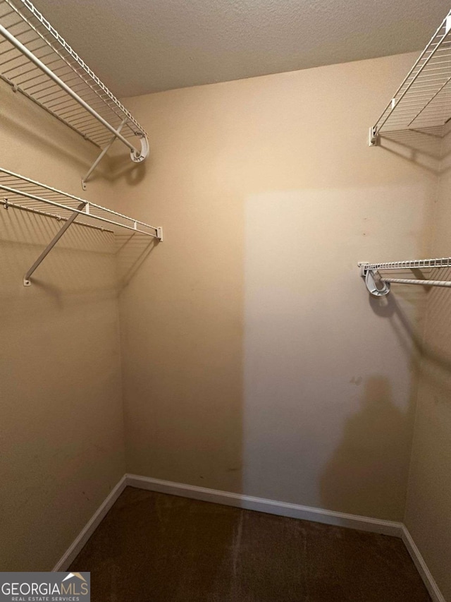 walk in closet featuring carpet flooring