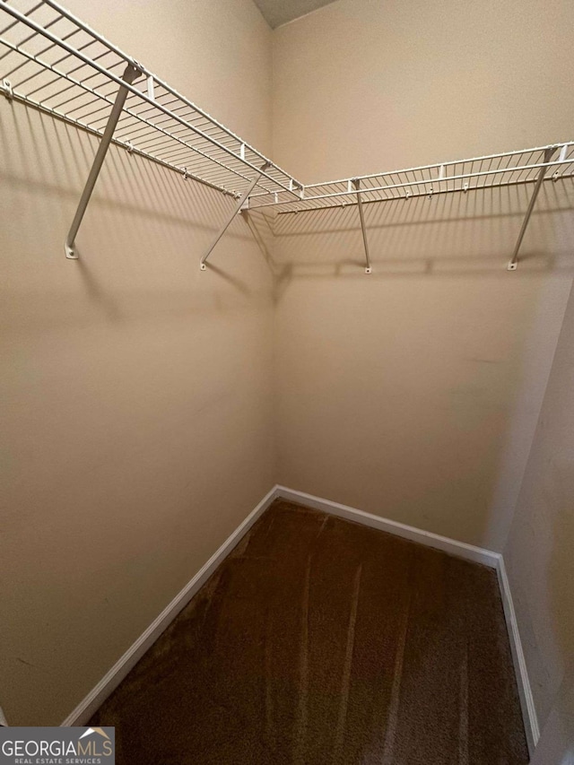 walk in closet featuring carpet flooring