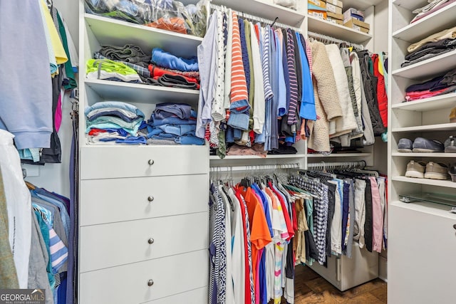 walk in closet with wood-type flooring