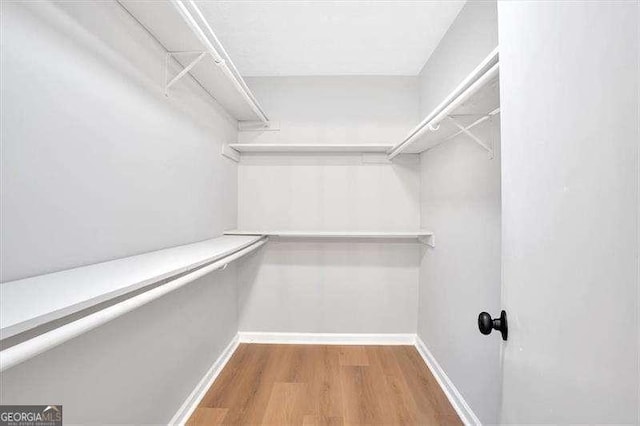 spacious closet featuring wood-type flooring