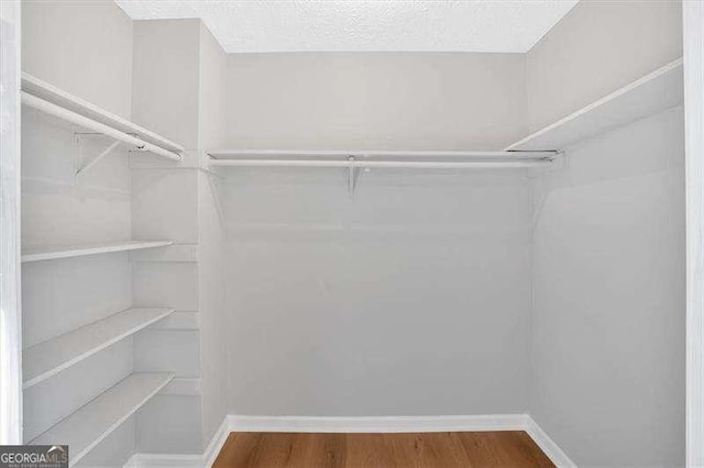 walk in closet with hardwood / wood-style flooring