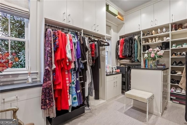 view of walk in closet