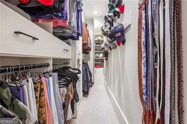 view of walk in closet