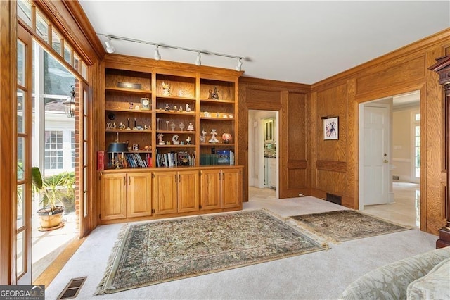 interior space featuring wooden walls, plenty of natural light, and light colored carpet