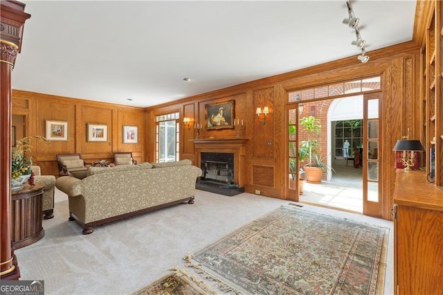 carpeted living room featuring a wealth of natural light, track lighting, and wood walls