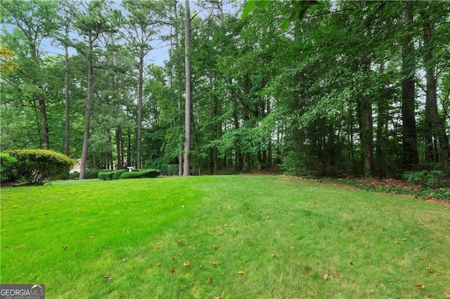 1120 Heards Ferry Rd, Sandy Springs, GA 30328 - view of green lawn