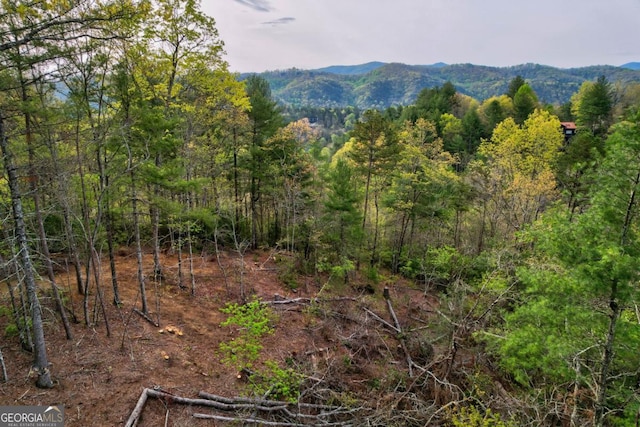 LOT52 Community Hill Dr Unit 52, Blue Ridge GA, 30513 land for sale