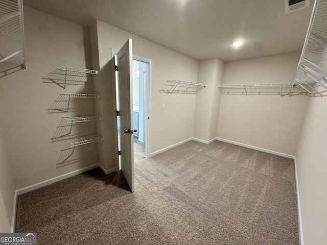 spacious closet with carpet flooring