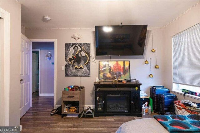 living room with dark wood-type flooring