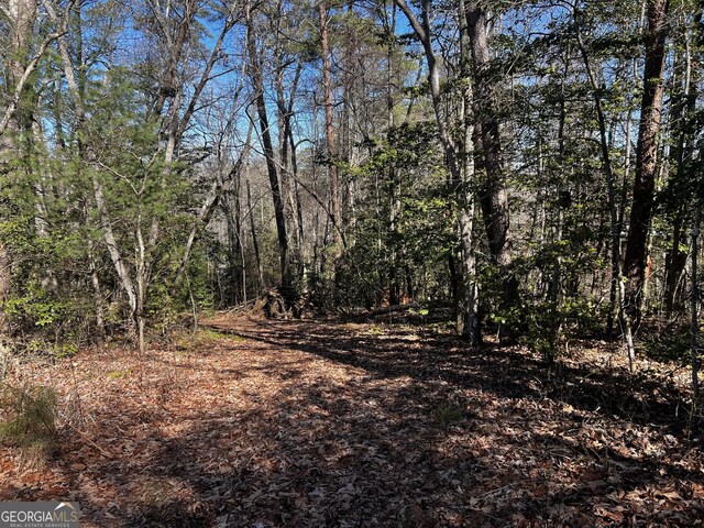 LOT5 Thrasher Dr, Blue Ridge GA, 30513 land for sale