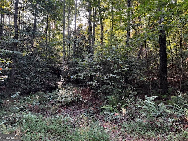 Listing photo 2 for LOT5 Thrasher Dr, Blue Ridge GA 30513