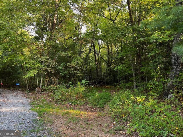 Listing photo 3 for LOT5 Thrasher Dr, Blue Ridge GA 30513