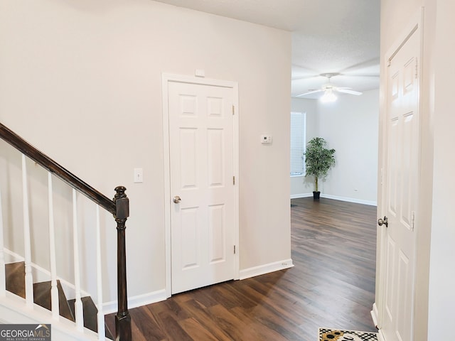 foyer entrance with ceiling fan and dark hardwood / wood-style flooring