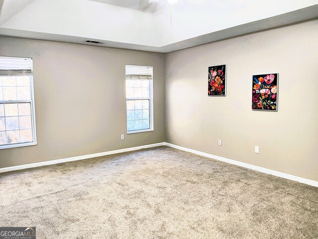 spare room with carpet and a raised ceiling