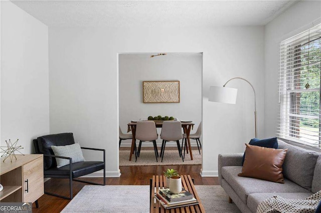 living room with dark wood-type flooring