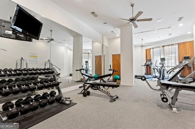 exercise room featuring carpet, ceiling fan, and track lighting