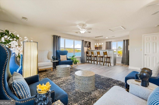 living room featuring a ceiling fan, wood finished floors, visible vents, attic access, and a textured ceiling