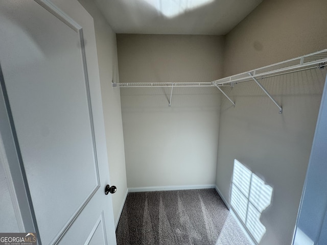 walk in closet with carpet floors