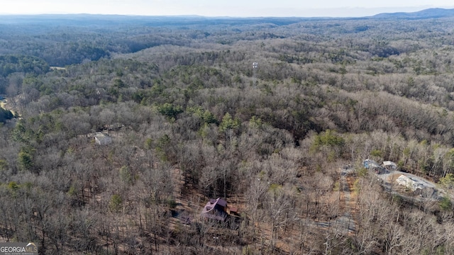 birds eye view of property featuring a mountain view