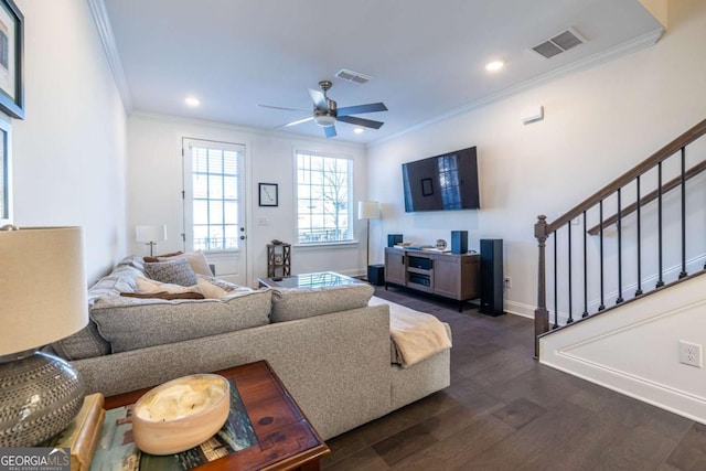 living room featuring ceiling fan, dark hardwood / wood-style floors, and ornamental molding