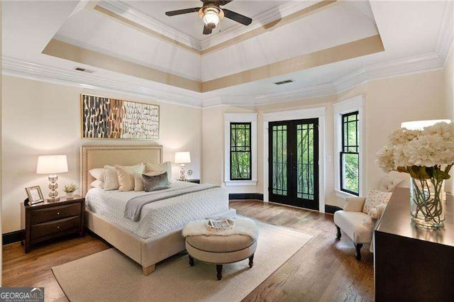 bedroom featuring multiple windows, a raised ceiling, and ceiling fan