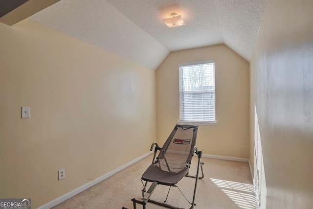 exercise room with light colored carpet, lofted ceiling, and a textured ceiling