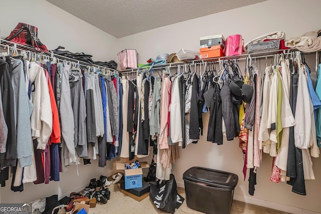 view of spacious closet