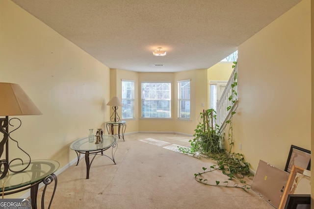 misc room featuring light carpet and a textured ceiling